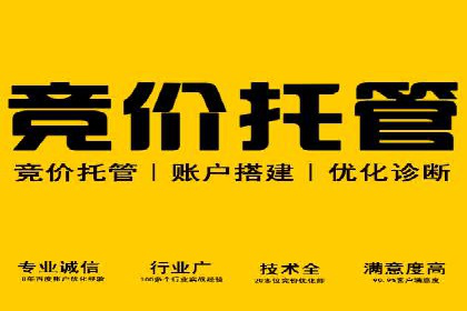 SEM运营托管案例：打造高效广告投放方案